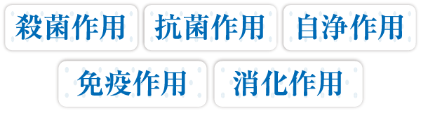 殺菌作用、抗菌作用、自浄作用、消化作用、免疫作用